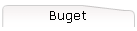 Buget